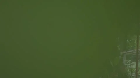 Behind The Scenes of a Vlog 스톡 동영상 243094896