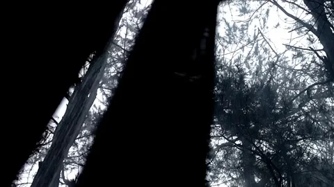 Behind The Scenes of a Vlog Stock Footage 243094960