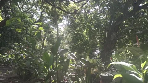 Behind The Scenes of a Vlog Video stock 243094962