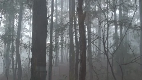 Behind The Scenes of a Vlog Stock Footage 243094968