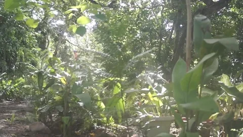 Behind The Scenes of a Vlog Stock Footage 243094969