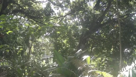 Behind The Scenes of a Vlog Stock Footage 243094972