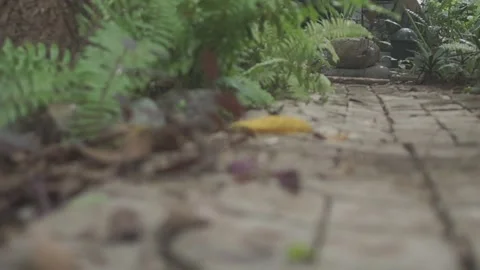 Behind The Scenes of a Vlog Stock Footage 243094997