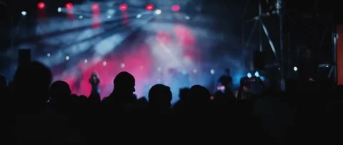 Behind shot of people crowd in front of a stage during a live show concert Stock Footage 122017865