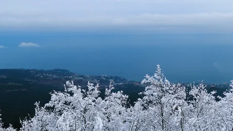 Behind the tops of trees covered with snow is the resort beach Stock-Footage 124611061