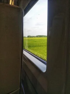 Behind the train window is a stretch of green rice fields Stock Photos
