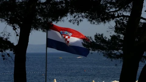 Behind tree leafs, flag of Croatia waving in wind sea motorboats in background Stock Footage 91907545