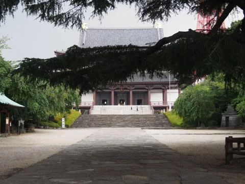 Behind the tree Stock Photos