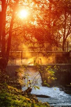 Behind trees Stock Photos
