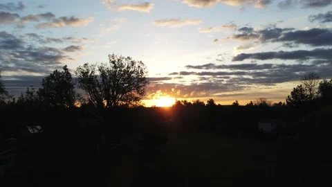Behind trees to see sunset- Drone camera moves down and back Video stock 137865331