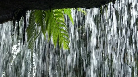 Behind the waterfall Stockbeeldmateriaal 77579241