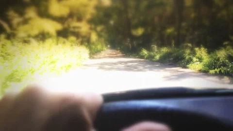 Behind the wheel on a sunny forest path - dreamy POV perspective Stock-Footage 78744282
