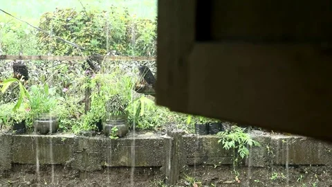 Behind the window Stock Footage 331988337