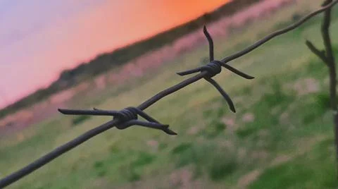 Behind the wire Stock Photos