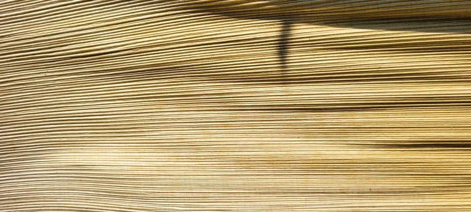 Beige abstract background with texture Stock Photos
