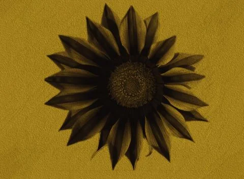 Beige abstract texture background. Digital illustration art. Stock Illustration