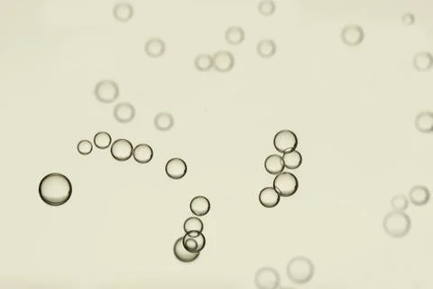 Beige air bubbles soars over a blurred background Stock Photos