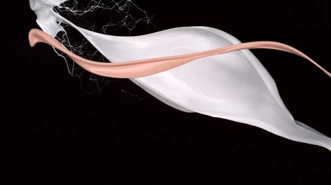 Beige and white paint splash in the air, Slow Motion Stock Footage 25915088