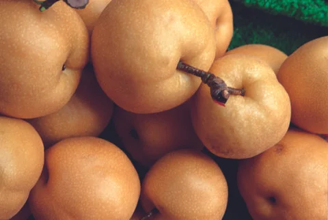Beige Apples Stock Photos