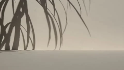 Beige background and palm shadow. Stock Footage 232184770