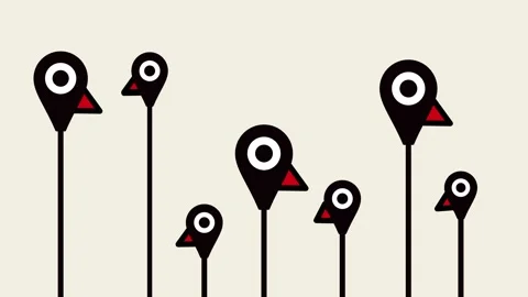Beige Background with Bird Pin Markers Stock Footage 343519195