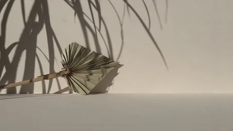 Beige background with a dried flower. Stock Footage 232268902