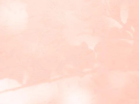 Beige Background Light Shadow Wall Floor Abstract Overlay Window 写真素材