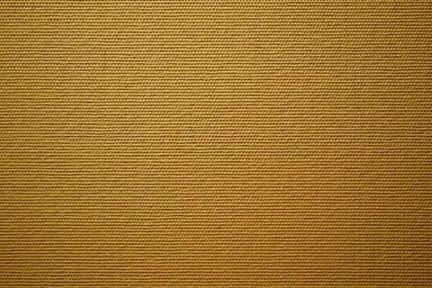 Beige background. Stock Photos