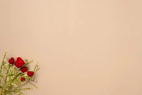 Beige background with red roses. Flat lay, top view. Copy space Stock Photos