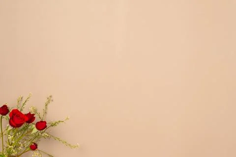 Beige background with red roses. Flat lay, top view. Copy space Stock Photos
