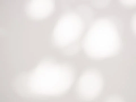 Beige Background Shadow Plant Leaf Tree Nature Wall Light Floor Abstract Stock Illustration