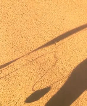 Beige Background Shadow Texture Leaf Nature Summer Autumn Wall Light 写真素材