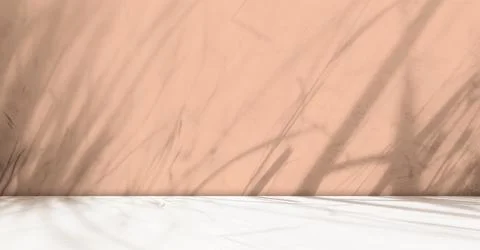 Beige Background Wall Studio Shadow Kitchen Table Backdrop Room Pink Nude Stock Illustration