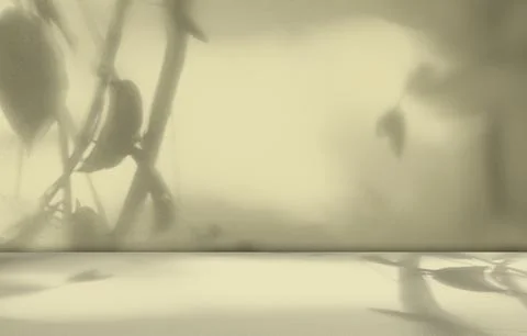 Beige Background Wall Studio Shadow Kitchen Podium Table Product Backdrop 库存照片