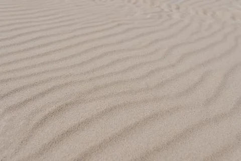 Beige beach sand waves surface texture. Desert dune landscape Stock Photos