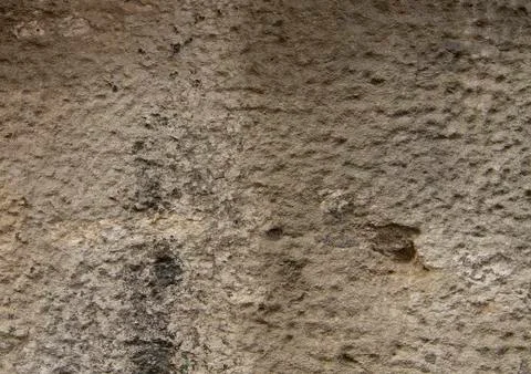 Beige - black texture lining. Stock Photos