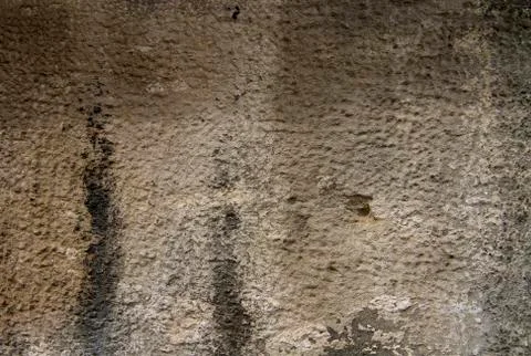 Beige - black texture lining. Stock Photos