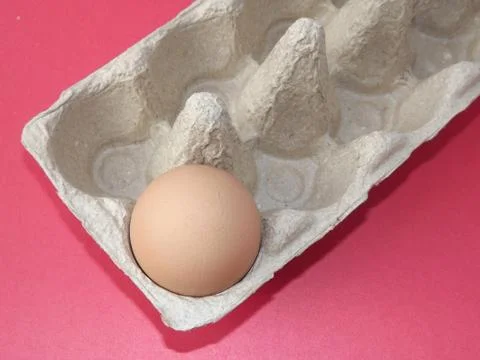Beige boiled egg in an egg box on a red background 写真素材