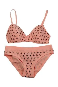 Beige bra, isolate Stock Photos