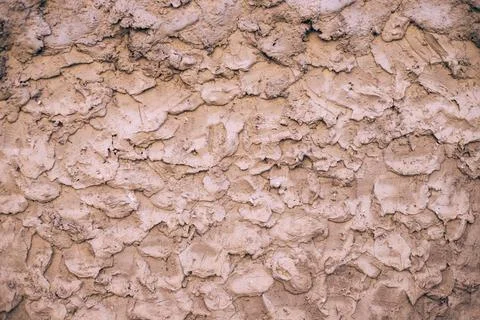 Beige cement texture wall background. Close up. Stock Photos