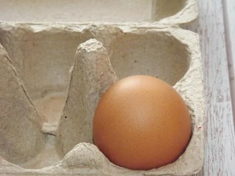 Beige chicken eggs in an egg box on a light wooden background Stock Photos
