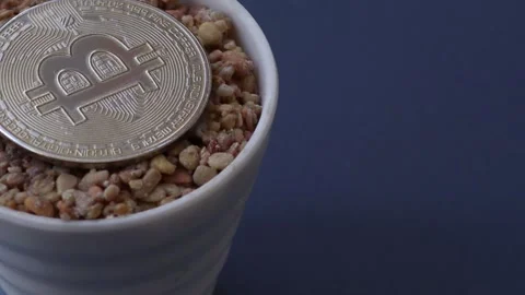 Beige colored pebbles inside the physical bitcoin Stock Footage 248613807