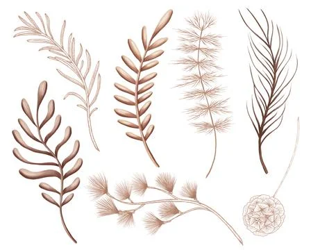 Beige forest greenery Stock Illustration