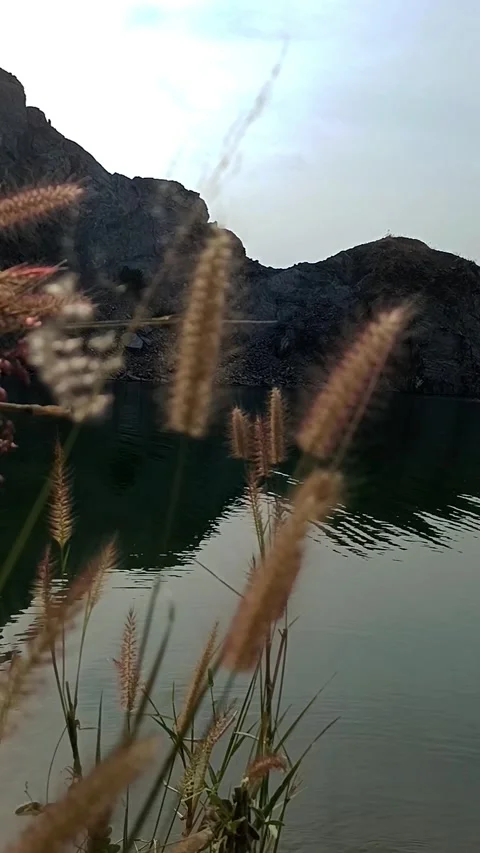 Beige grass against the background of a blue lake. Video stock 272201183