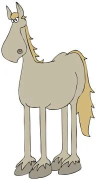 Beige horse Stock Illustration