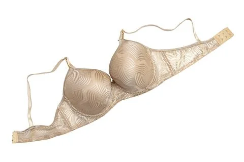 Beige Lace Bra With Geometric Pattern For Lingerie, Fashion, And Boudoir Photogr Stock Photos