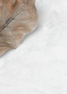 Beige leaf patterned background design space Stock Photos