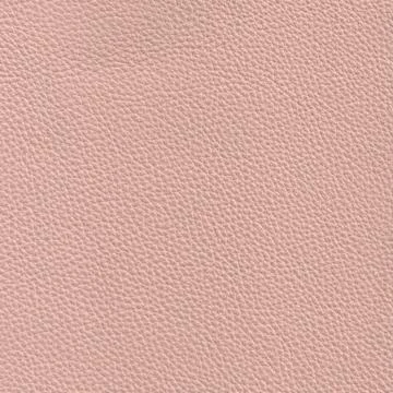 Beige leather Stock Photos