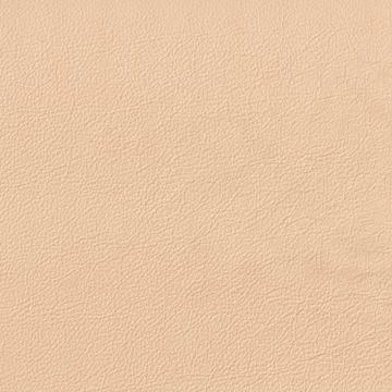 Beige leather Stock Photos