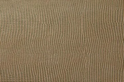 Beige leather silk texture background for decor Stock Photos